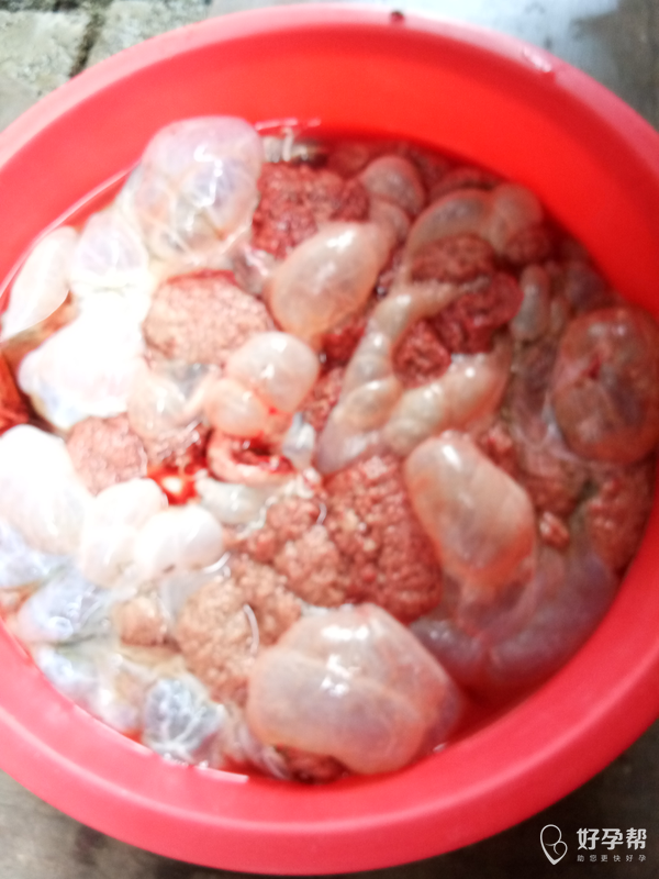 母牛下小牛了,这是牛包衣