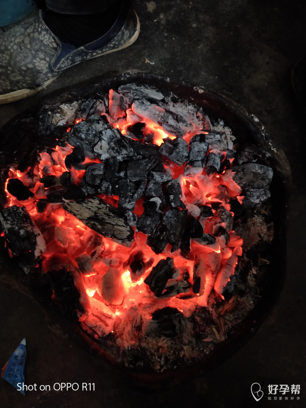 好漂亮的一盆火呀