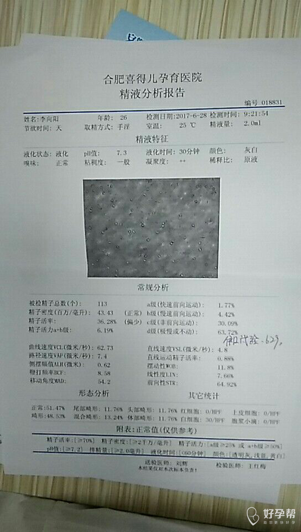 医院检查单子丢了怎么办 gw-topic
