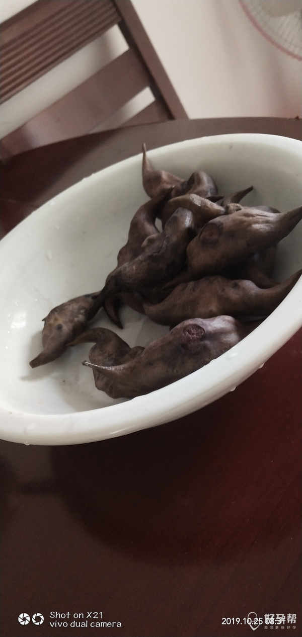 我有时候真的挺受不了婆婆的那种太会过的行为了,买了菱角放家里几天