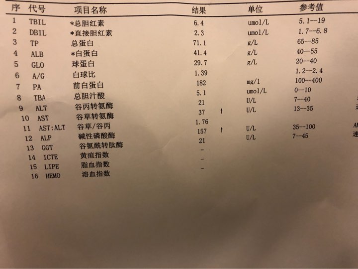 甘胆酸偏高图片