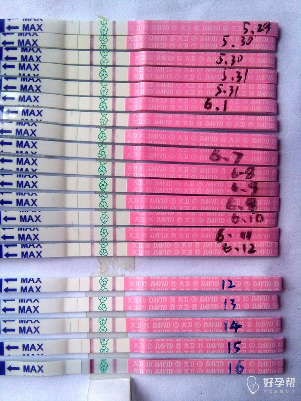 末次18,排卵试纸测好孕图示,分享给备孕中的姐妹