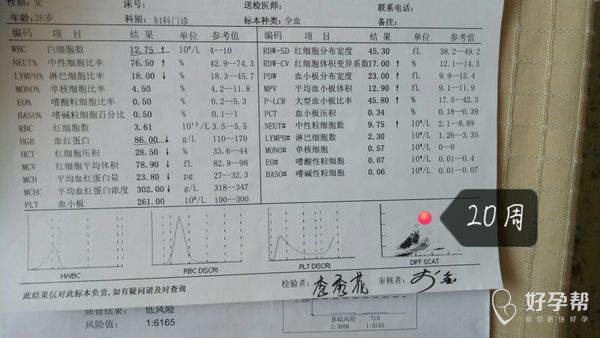 几周开始产检建档 gw-topic