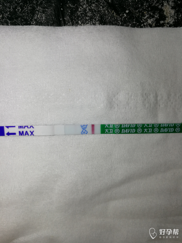 大早起床用大卫早早孕试纸测试了一下,好像有灰印,我大概27号的月经期