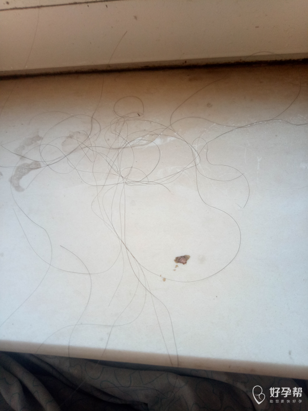 帮我拔了白头发,连黑发也给我拔了