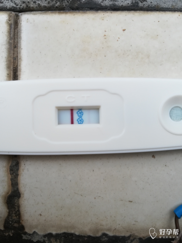 怀孕了吗?今天终于测到好像有好孕双杆?