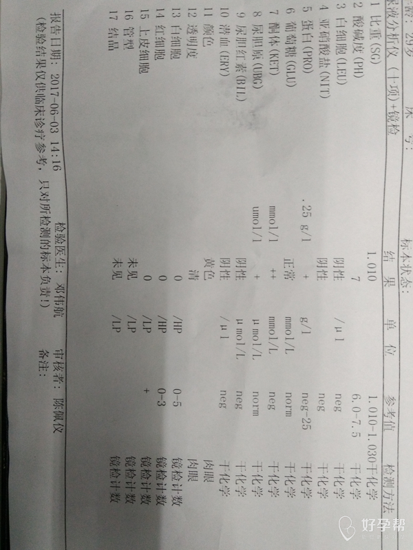 尿检昨天酮体2个蛋白一个尿胆原一个