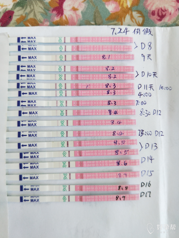 排卵试纸白板图片