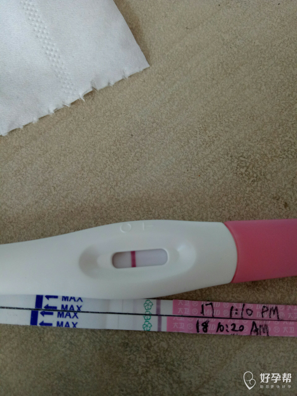 上边是验孕棒,明显的一条线,下边是排卵试纸,月经一直很规律28左右