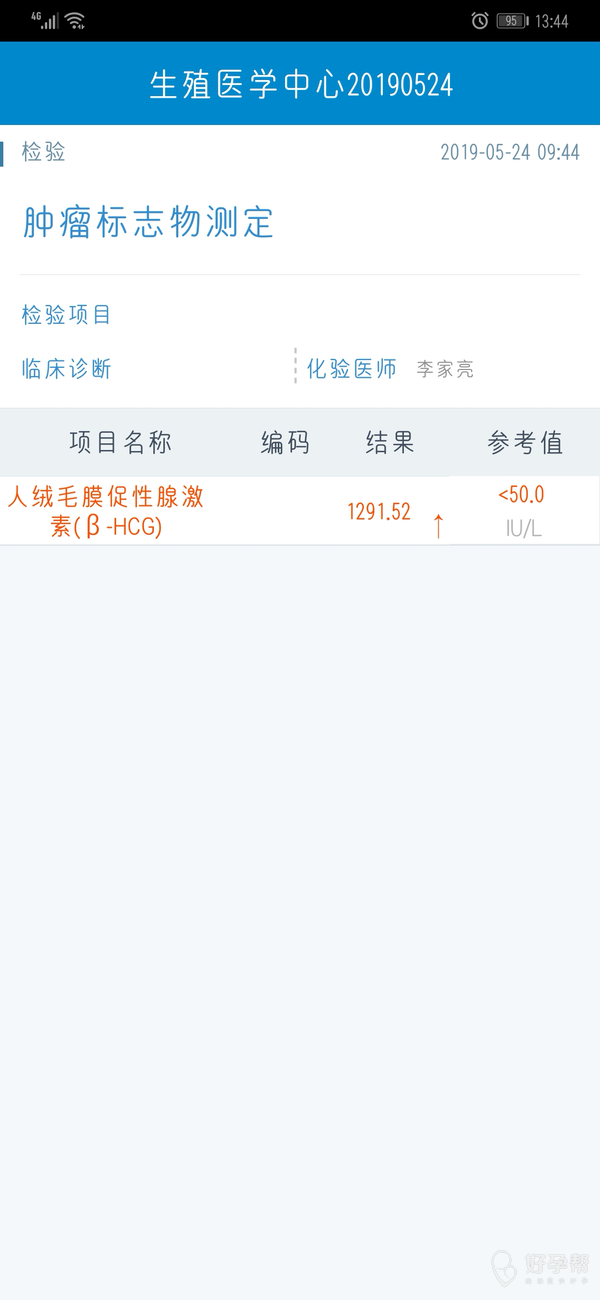 今天移植第13天
