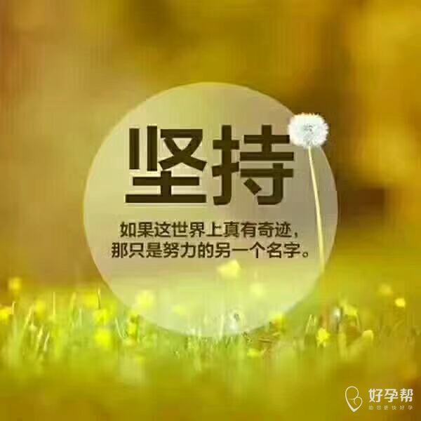 【备孕心情】期待着我的生命中也会有你的出现