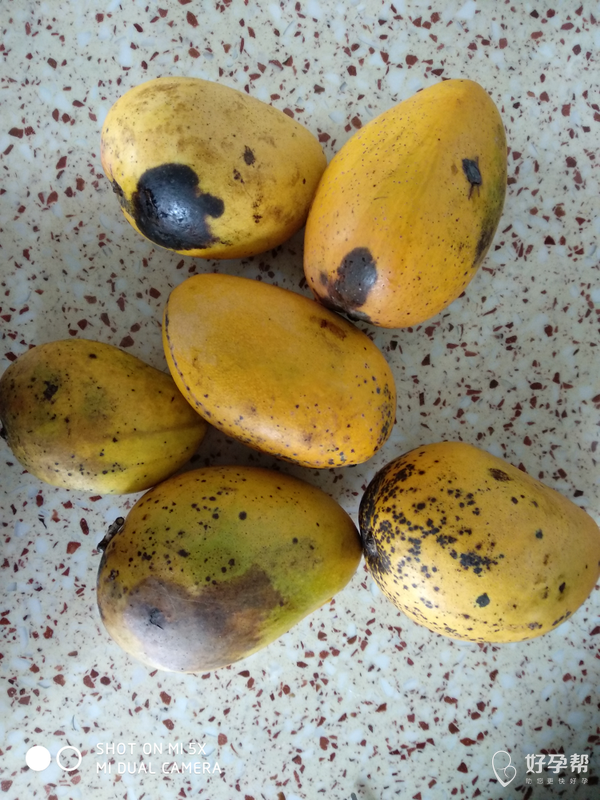 这次买的芒果一点都不好