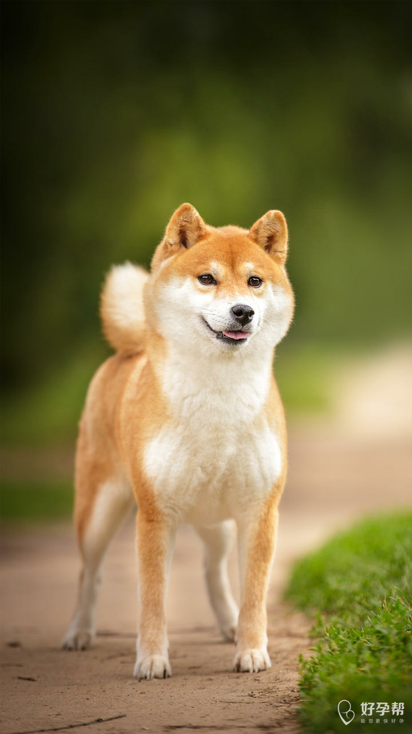 昨天老公问我说你是不是把你差点吃洗洁精的事告诉