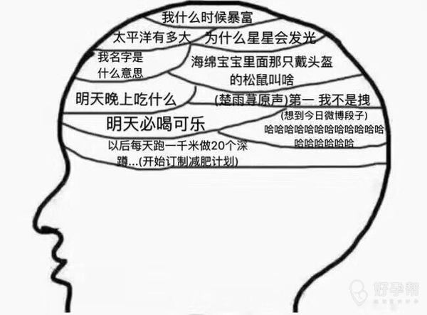 你脑子里每天都有想什么