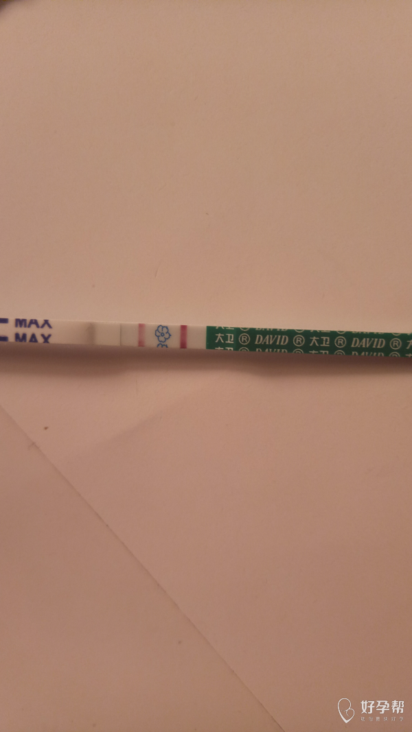孕纸测试怀孕显示图图片