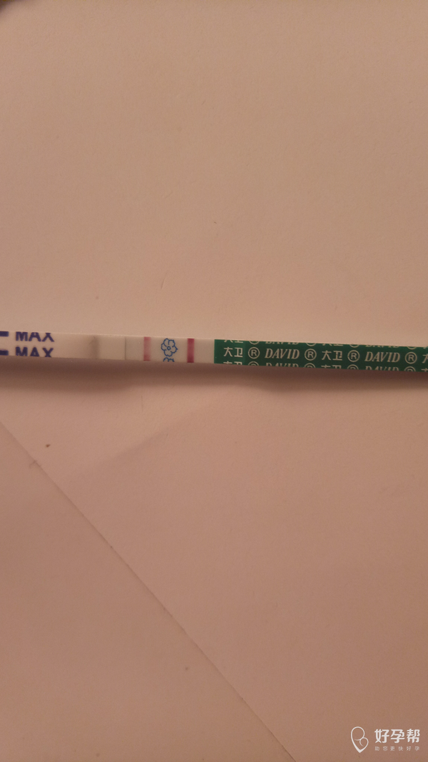 明天是月经日,这是今天早上测的早孕试纸-孕前准备-备孕交流论坛