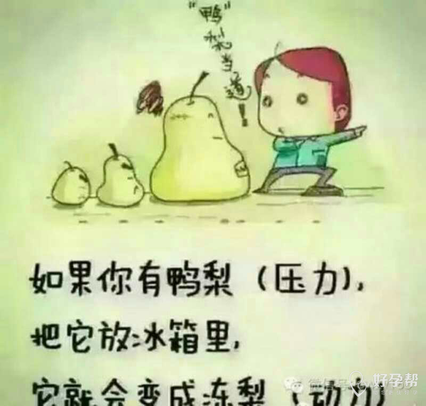 我的备孕解压方法化压力为动力