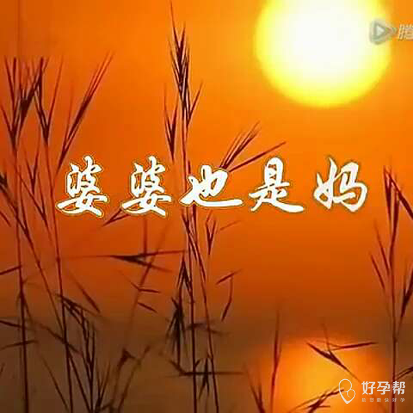 【婆媳关系】婆婆就是妈