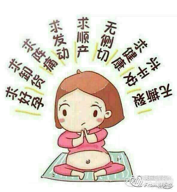 合体成功愿本月宫内好孕