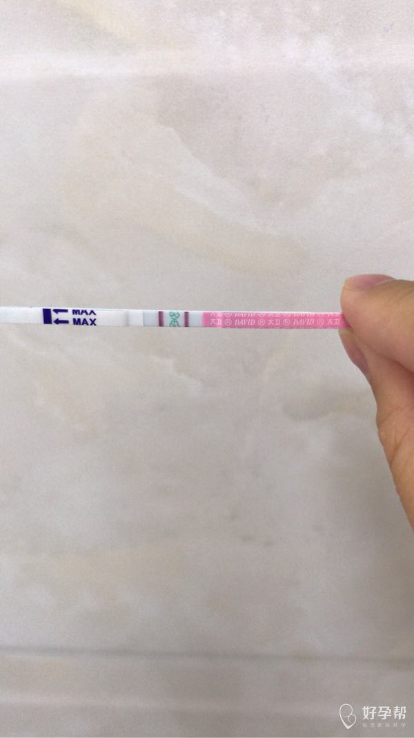 
备孕以来第一次测到强阳,让我终于明白什么叫做排卵试纸强阳了,这当然要归功于今早…