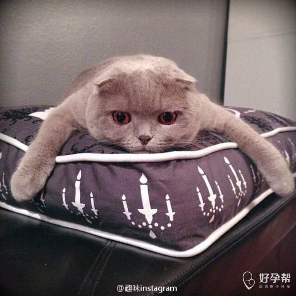上来下去的,搬的我胳膊疼腿疼的
