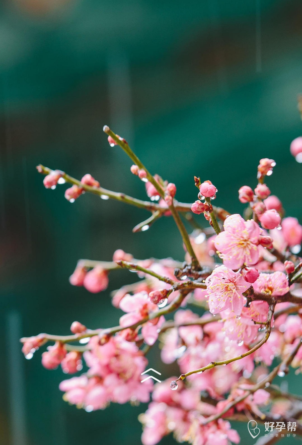 最好的运气是善良 gw-topic