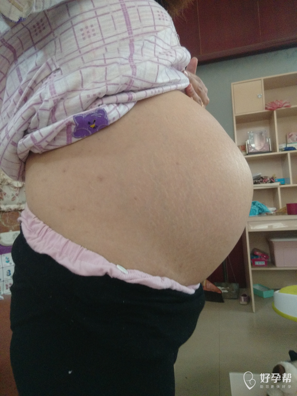 31  晒晒自己的大肚照 想去拍孕妇照呢