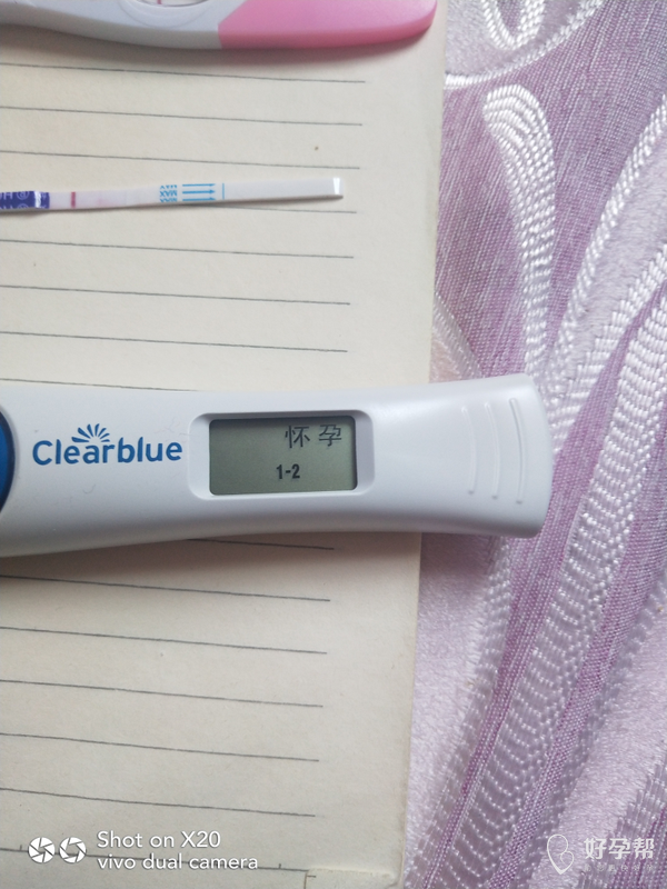 下午忍不住测了可丽蓝