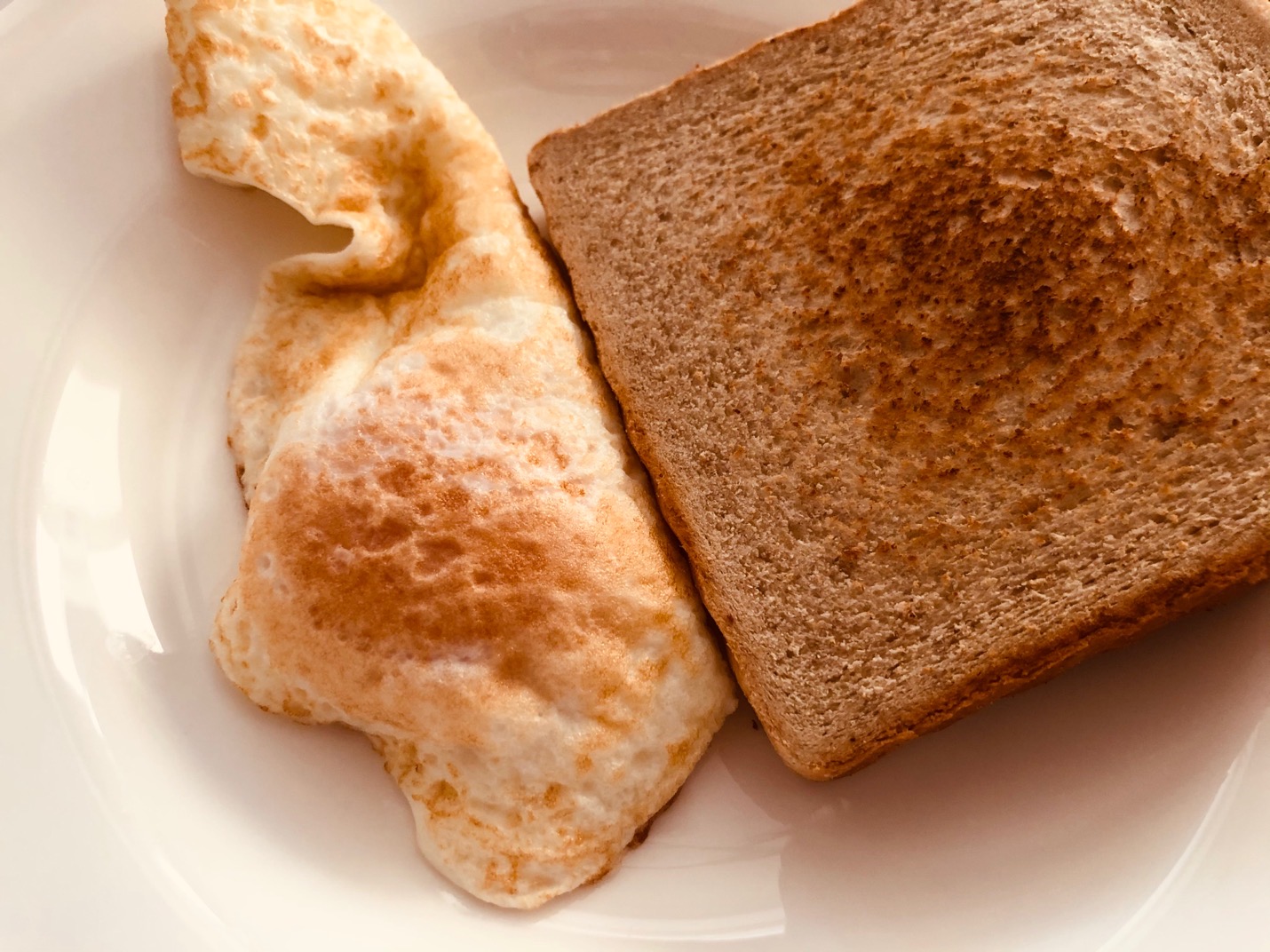 早餐打卡全麦面包片无油煎蛋