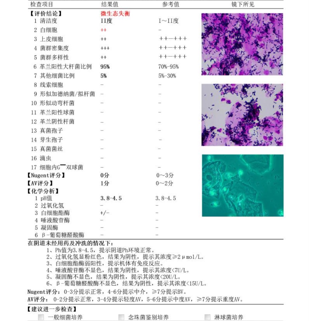 白细胞酯酶A图片