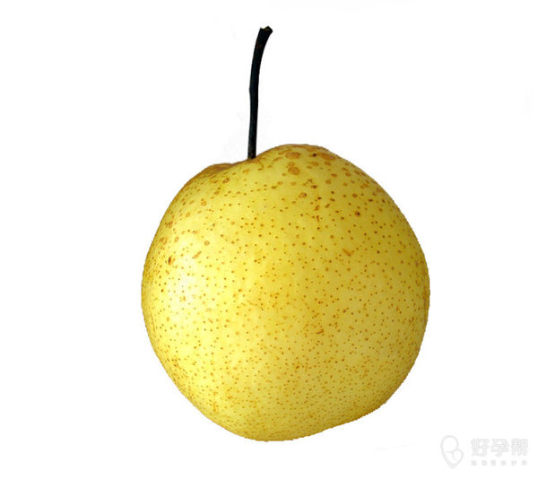 早点 油烤馍 中午搅团 中午加餐半个梨 下午